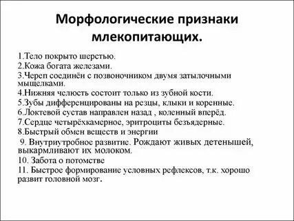 Признаки отличающие млекопитающих от других животных