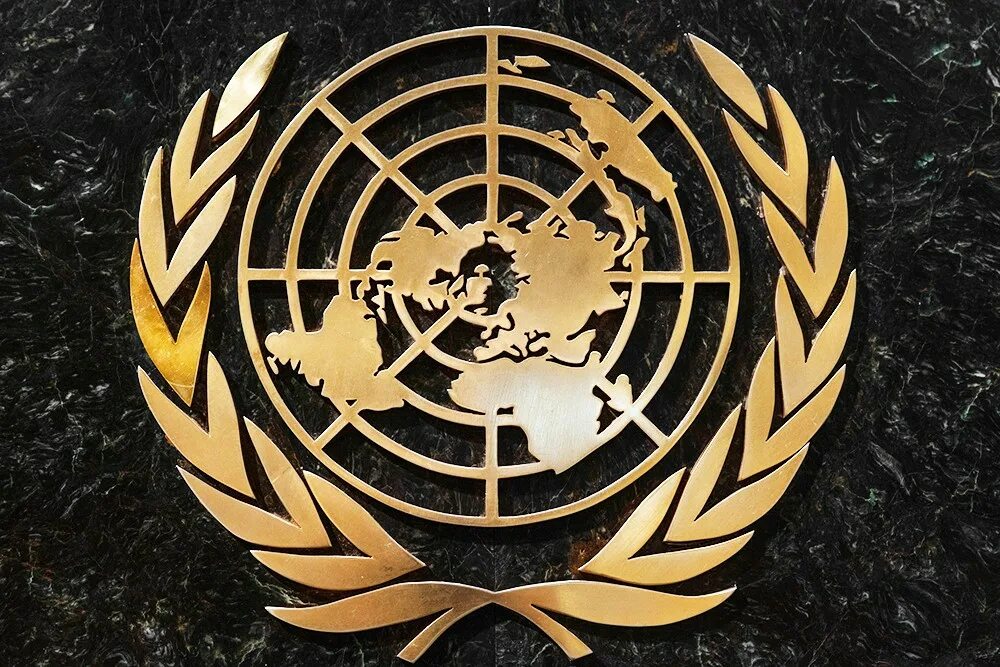 Конвенция 2000. Совет безопасности ООН эмблема. Генеральная Ассамблея ООН знак. Совет безопасности ООН герб. Организация Объединённых наций ООН эмблема.