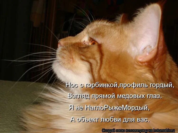 Гордо взгляд я подниму и пойду