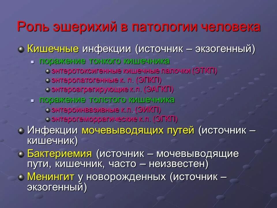 Кишечная палочка вызывает заболевания. Роль кишечной палочки в патологии. Роль кишечной палочки в норме и патологии. Роль в патологии человека. Эшерихии физиологическая роль.