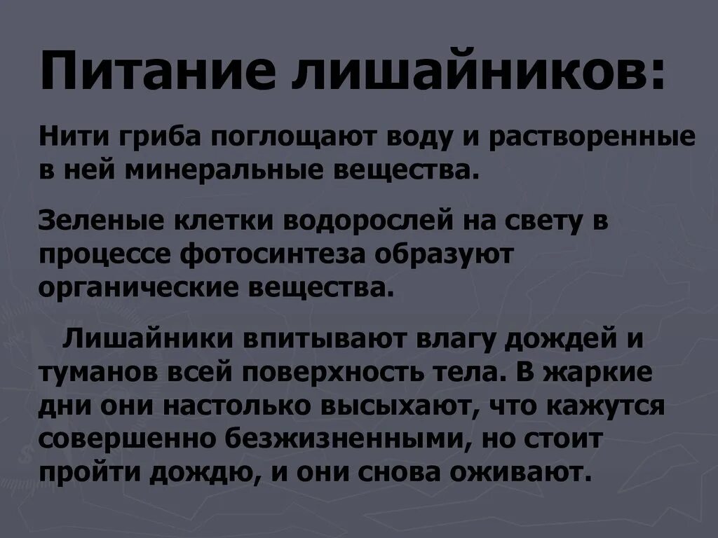 Лишайники поглощают. Питание лишайников. Как питаются лишайники. Тип питания лишайников. Способ питания лишайников.