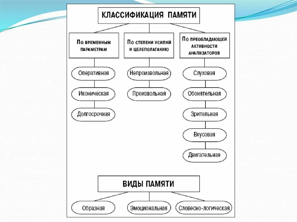 Изучение памяти. Классификация памяти в психологии. Методы исследования памяти. Классификация основных видов памяти. Классификация видов памяти в психологии.