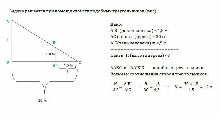 Медный тросик имеет длину 100. В солнечное утро человек ростом 180 см отбрасывает тень длиной 4.5. задачи с тенью и столбом. дерево отбрасывает тень. найти длину солнечной тени.