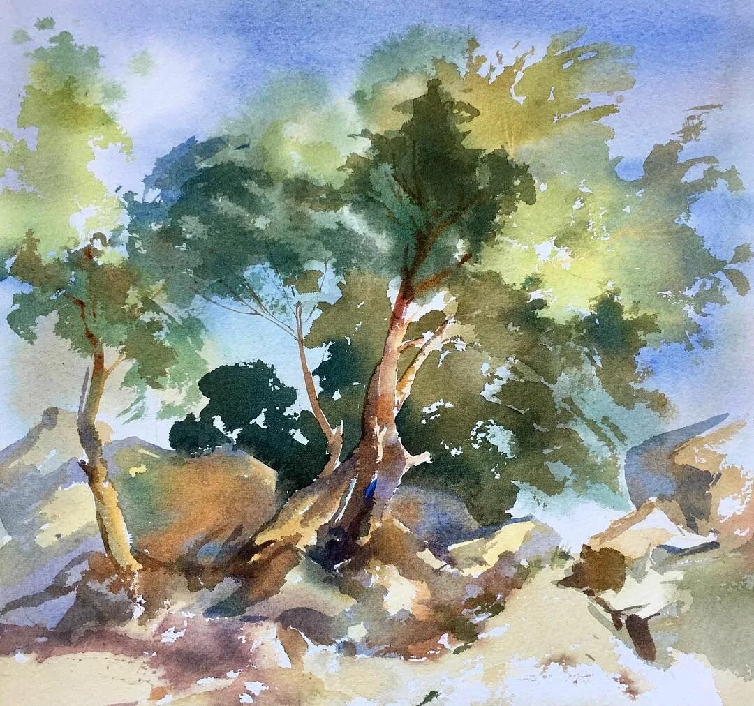 Акварельные этюды. Академическая живопись пейзаж пленэр акварель. Зукович акварель пейзаж. Акварельные этюды. Акварельные этюды.