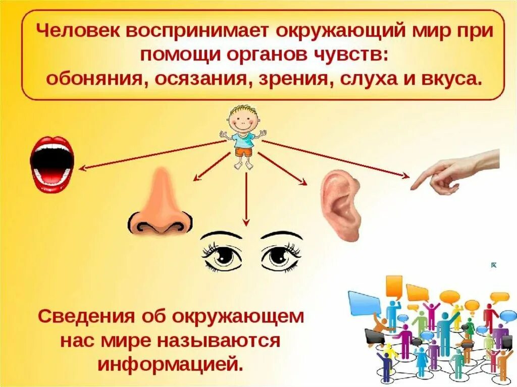 Человек воспринимает мир. Человек воспринимает окружающий мир. Органы восприятия человека. Органы чувств.