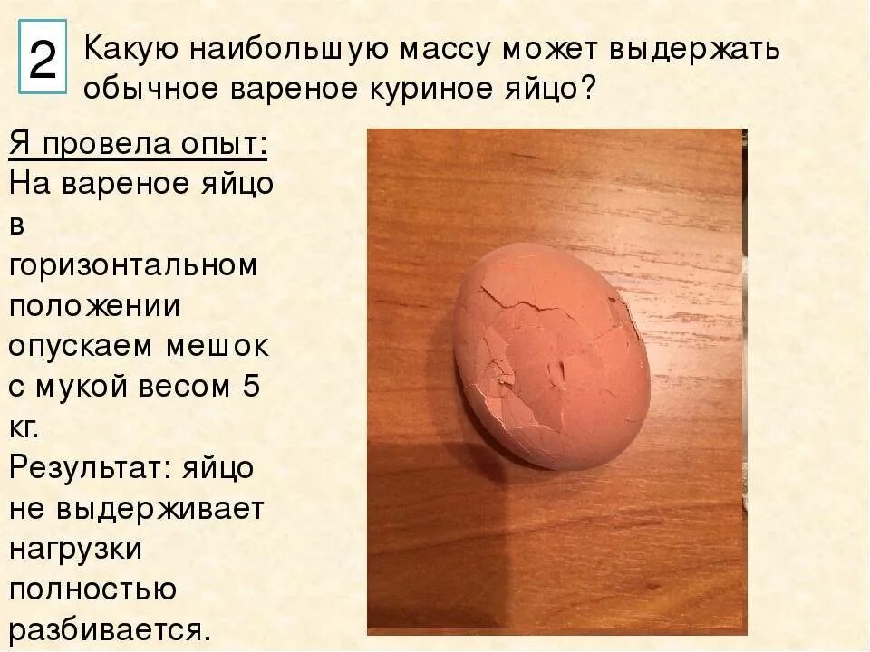 Можно ли раздавить сырое яйцо. А прочно ли куриное яйцо. исследовательская работа про куриные яйца. прочность скорлупы куриного яйца. исследовательская работа по яйцу.