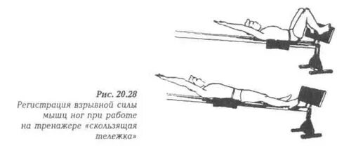 Взрывная сила мышц ног