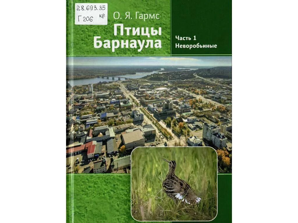 Барнаул курья. Птицы Барнаула. Птицы Барнаула о.я.Гармс.