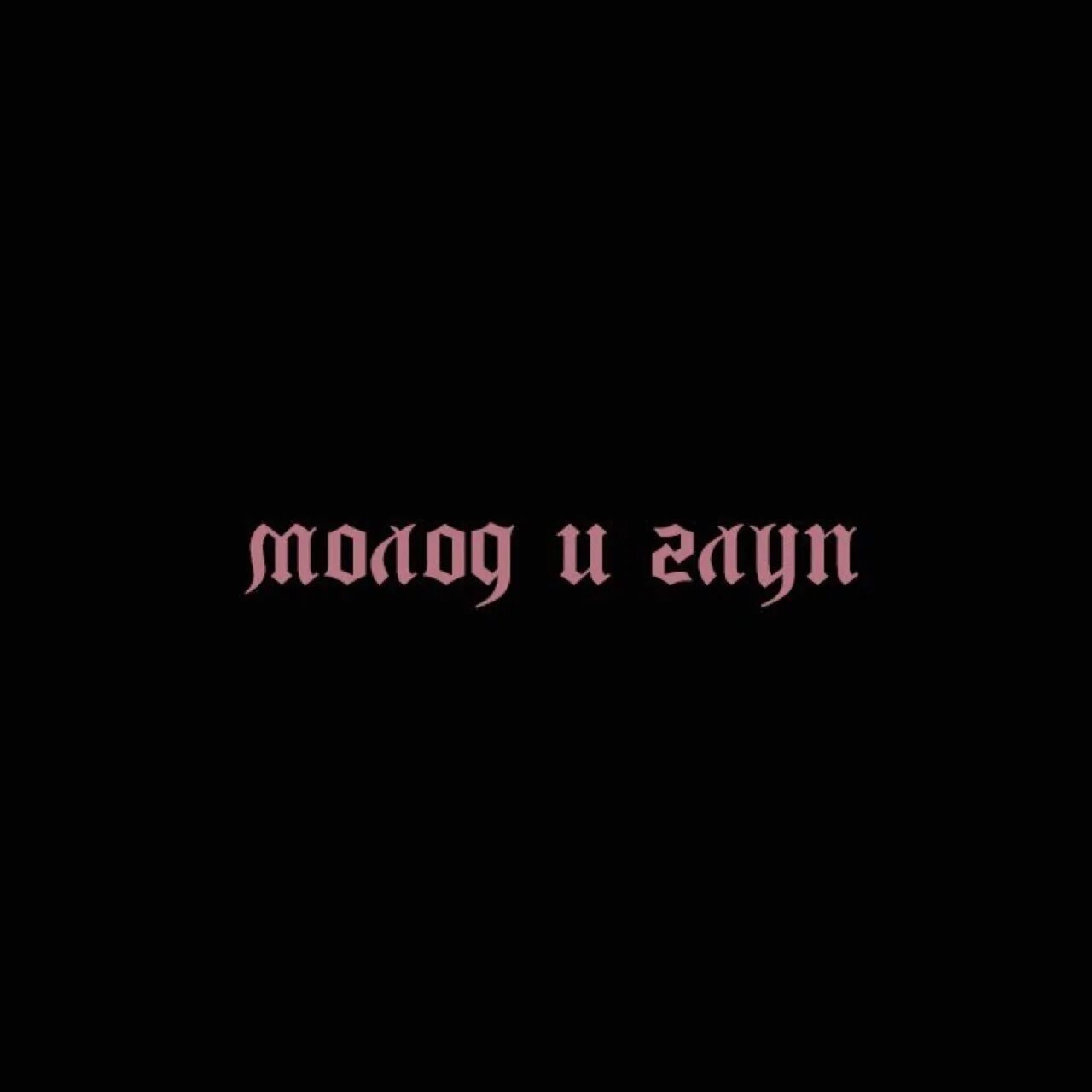 Молод и глуп botg. Молод и глуп. надпись молод и глуп. молод и глуп обои. картинки молод и глуп.