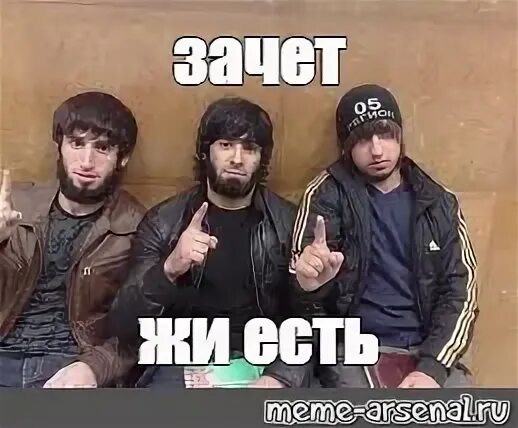 Знакомьтесь это биба а это его друг: найдено 86 изображений