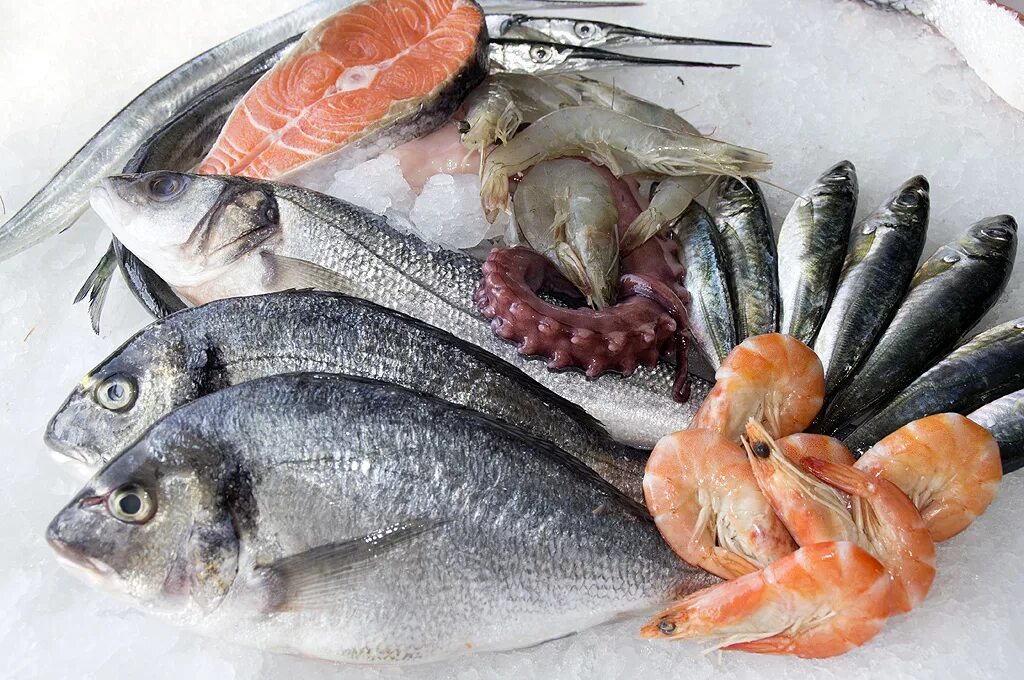 рыба pesce trombetta. рыба и морепродукты. Frozen fish. рыба в ассортименте. рыба и морепродукты.