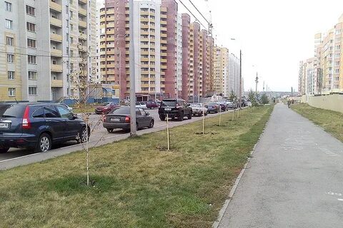 Свободная 2 тамбов
