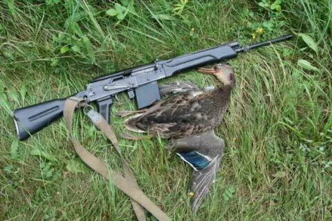 Сайга охотник