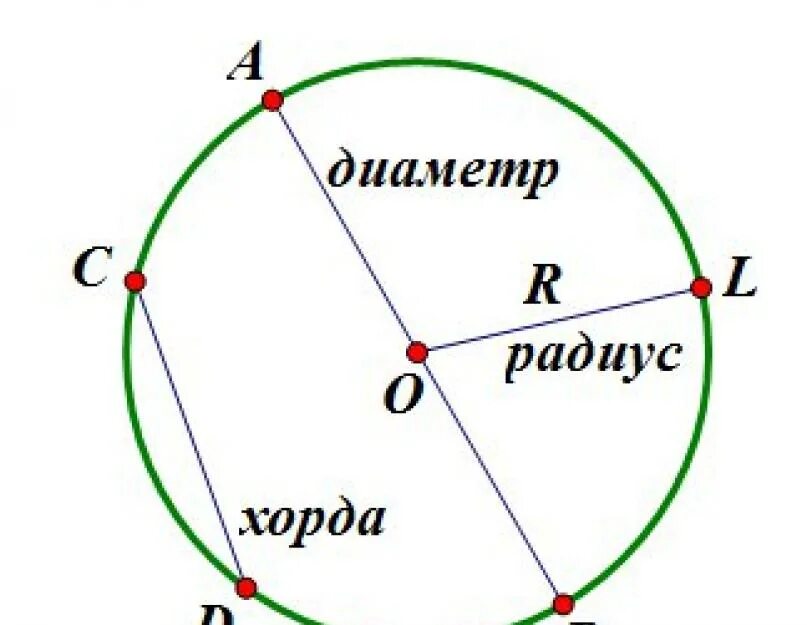 Окружность радиус диаметр хорда. Окружность радиус диаметр хорда дуга. Круг радиус диаметр хорда. Хорда и радиус окружности. Изобразить окружность центр радиус диаметр хорда