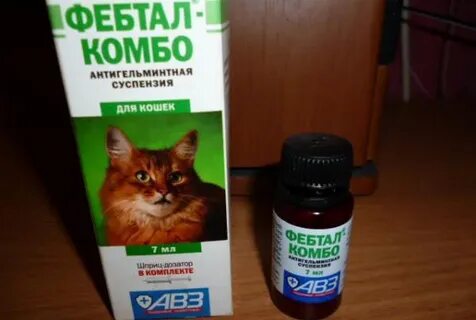 Кошка кашляет глисты