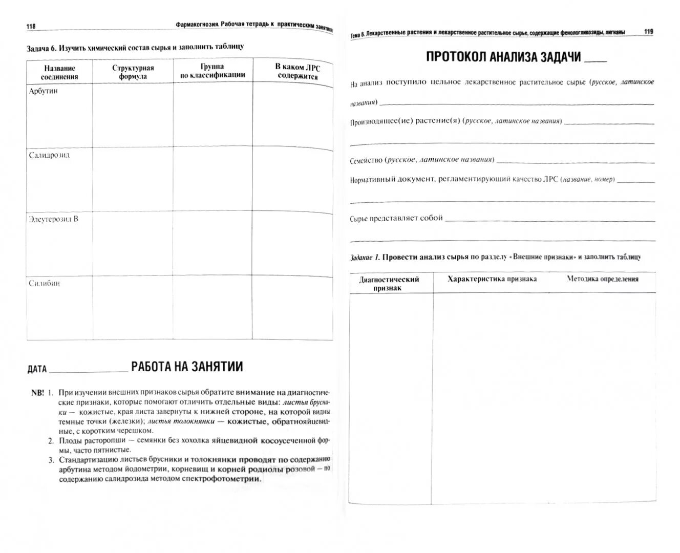 Человек какой он практическое занятие рабочий лист