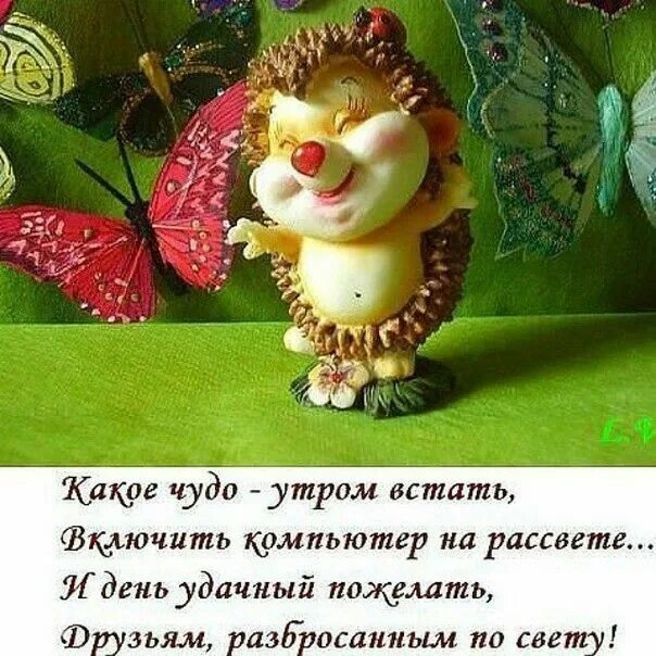Добрый день картинки пожелания красивые с юмором Пин от пользователя Kira Lanak на доске Доброе утро и день Забавный, Открытки, Д