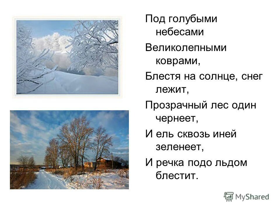 Голубыми небесами великолепными коврами блестя на солнце снег. Под голубыми небесами великолепными коврами картинки. Снег лежит. Под голубыми небесами великолепными коврами блестя на солнце. Блестя на солнце снег лежит прозрачный лес один чернеет.