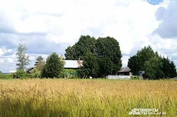 Возвращение в деревню 2. Деревни "Возвращение городов". Забураевка Иловля.