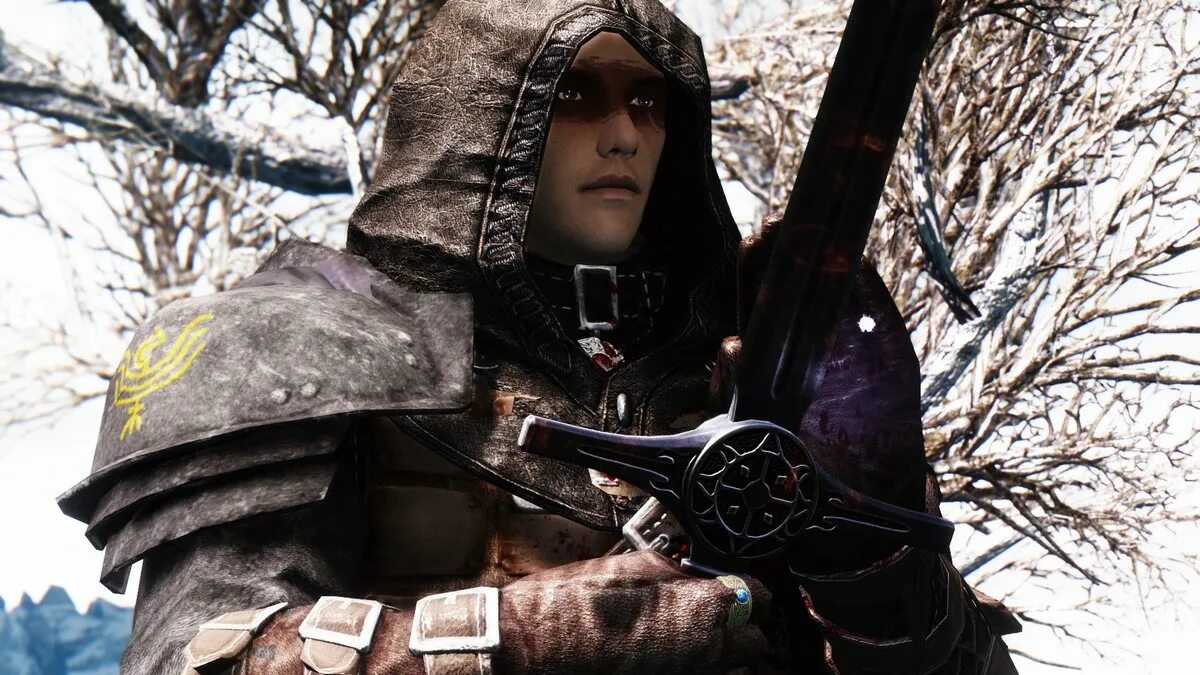 Страж рассвета мод. Нордская стрела героя. страж рассвета skyrim. скайрим броня стража. скайрим стража рассвета броня.