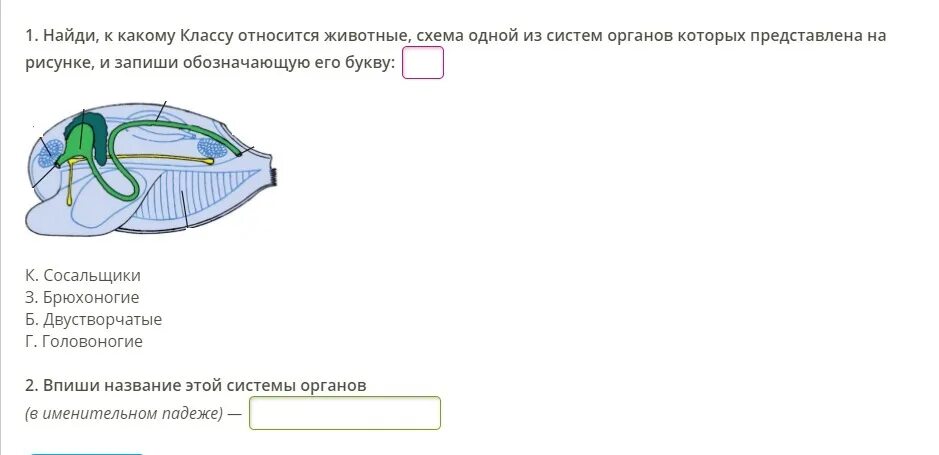 Какая система указана на рисунке. К какому классу относятся животные схема. Системы к какому классу относятся. Какими буквами обозначаются системы органов. Схема одной из систем органов которых представлена на рисунке.