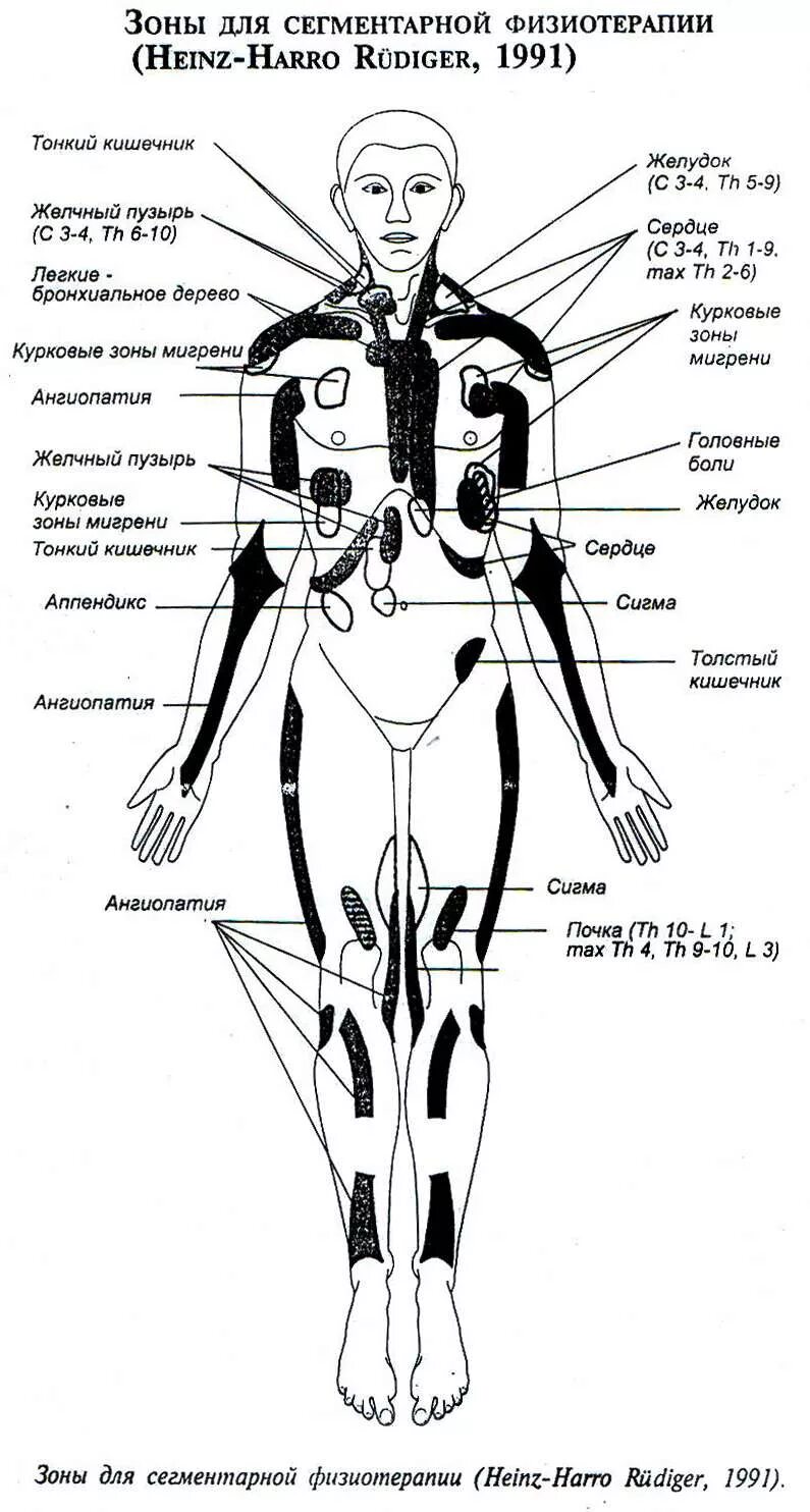 Рефлексогенные зоны в физиотерапии. Проекционные зоны для физио. Рефлекторные зоны Захарьина-Геда схема.