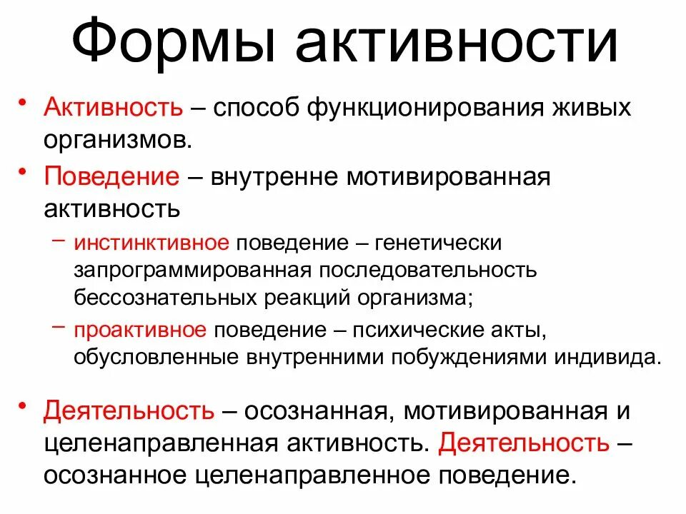 Новые формы активности