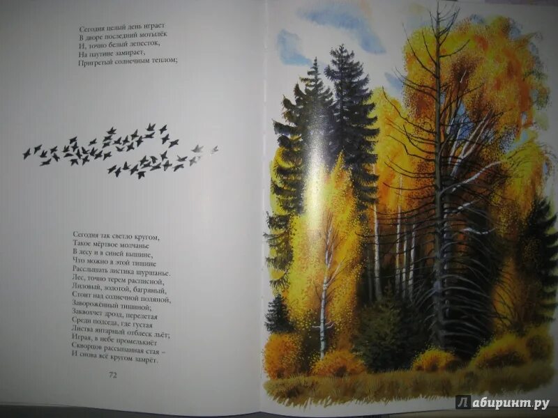 Блок тютчев бунин. Бунин листопад книга. листопад есенин. стихотворение тютчева листопад. тютчев иллюстрация книга листопад.