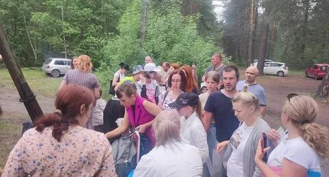 Лагерь дружный ленинградская область