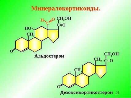 Гормона в больших количествах