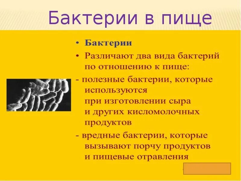 Окружающий мир автор О.Т.Поглазова 3 класс Тема "Удивительные открытия" Учитель 