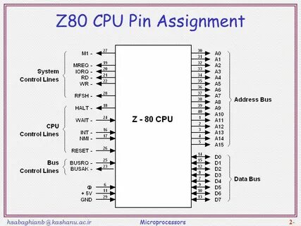 Z 80