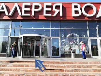 Водолей домодедовская