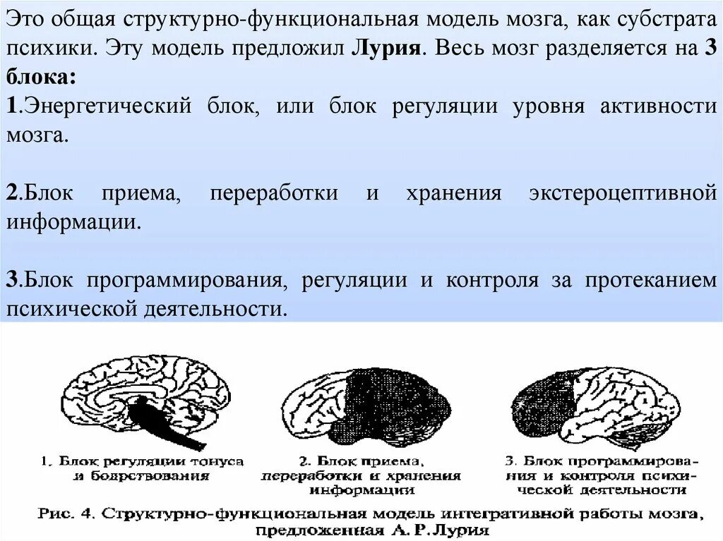 Нарушения блоков мозга. Блоки мозга по Лурия 3 блок. Функциональные блоки мозга (а. р. Лурия). Функциональные блоки головного мозга по а.р Лурия. Функции 3 блока мозга по Лурия.