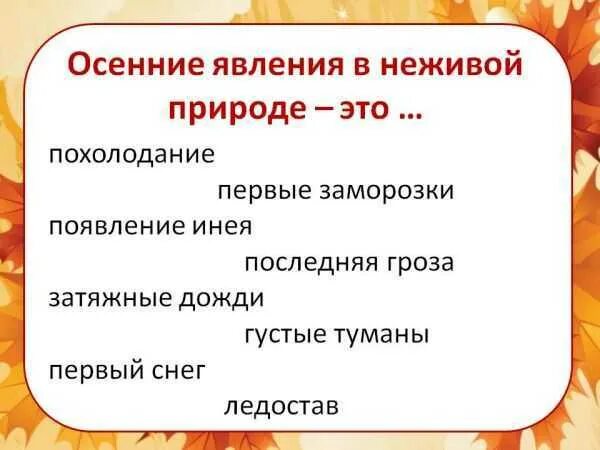 Какие явления происходят весной в неживой. Осенние явления в неживой природе. Явления живой природы. Осенние явления в неживой природе 2 класс. Осенние явления природы в неживой природе 2 класс.