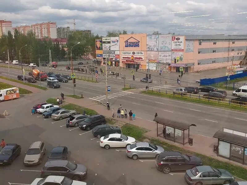 Димитрова д н