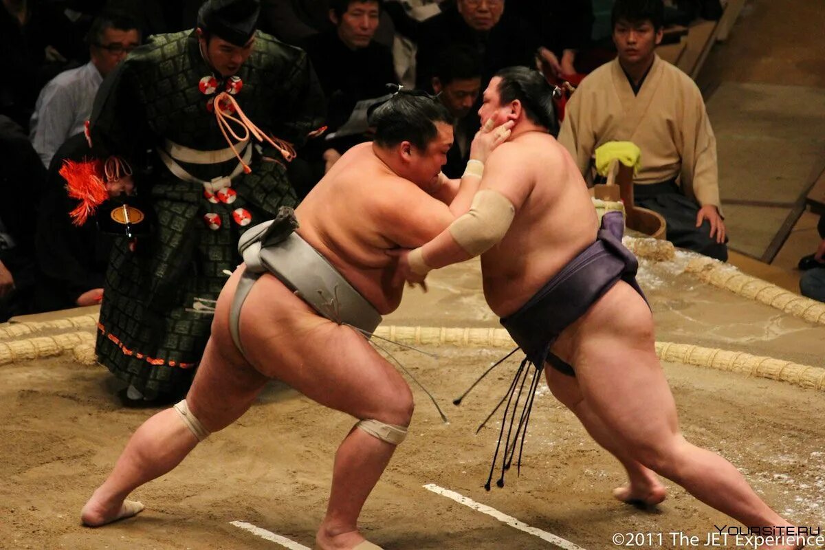 Хакухо сё японский борец сумо. Сумо Япония. Суммо