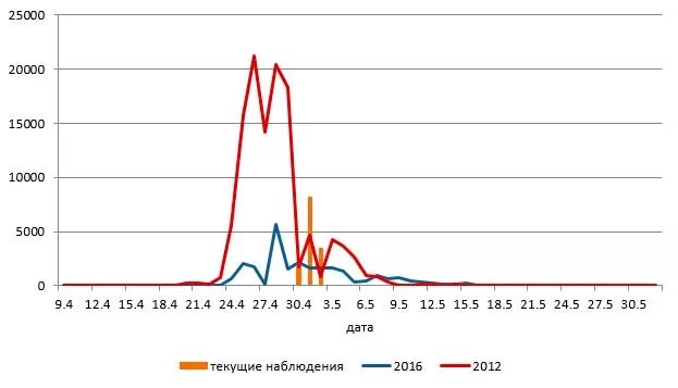 Прогноз пыления березы в москве. Пыление березы. пыление березы в москве. когда пылит береза в москве. пыление березы фото.