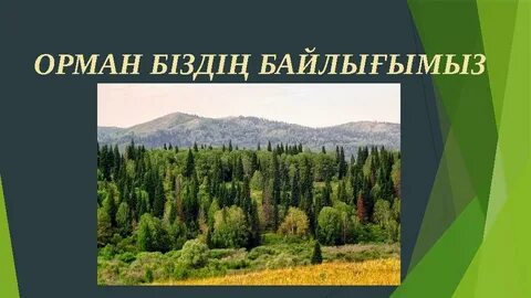 Украин порно жұлдыздары