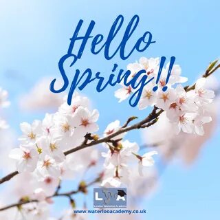 Hello spring