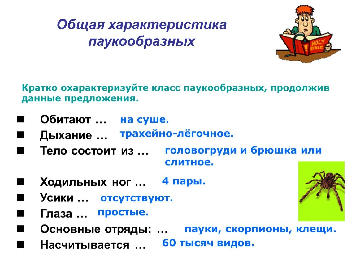 Характерные особенности класса паукообразные. Основные характеристики паукообразных. Общая характеристика паукообразных 7. Признаки класса паукообразных 7 класс. Темы по биологии класс паукообразных.