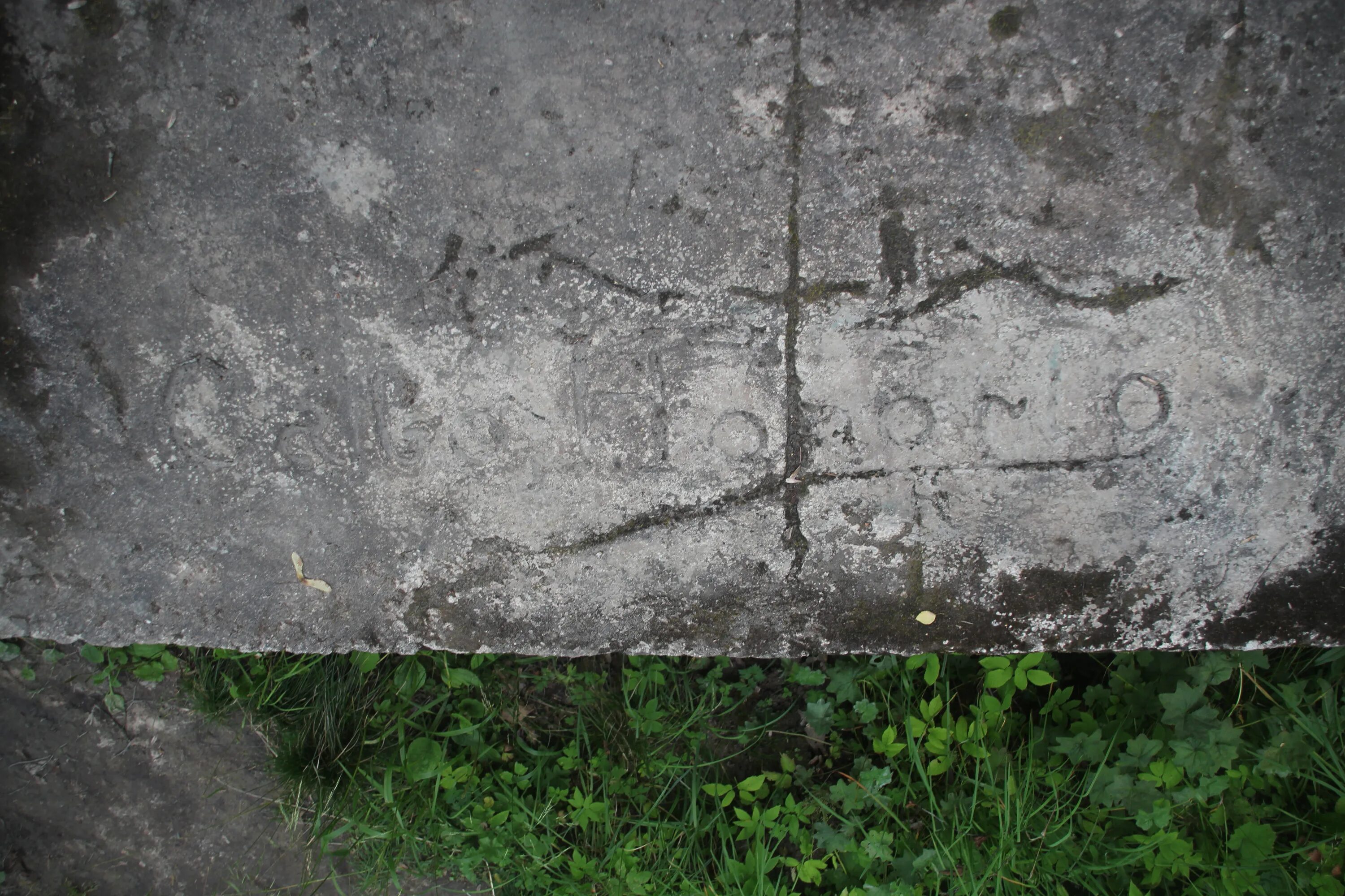 Буквы на дороге в Александровском парке. Сохранившийся надписи