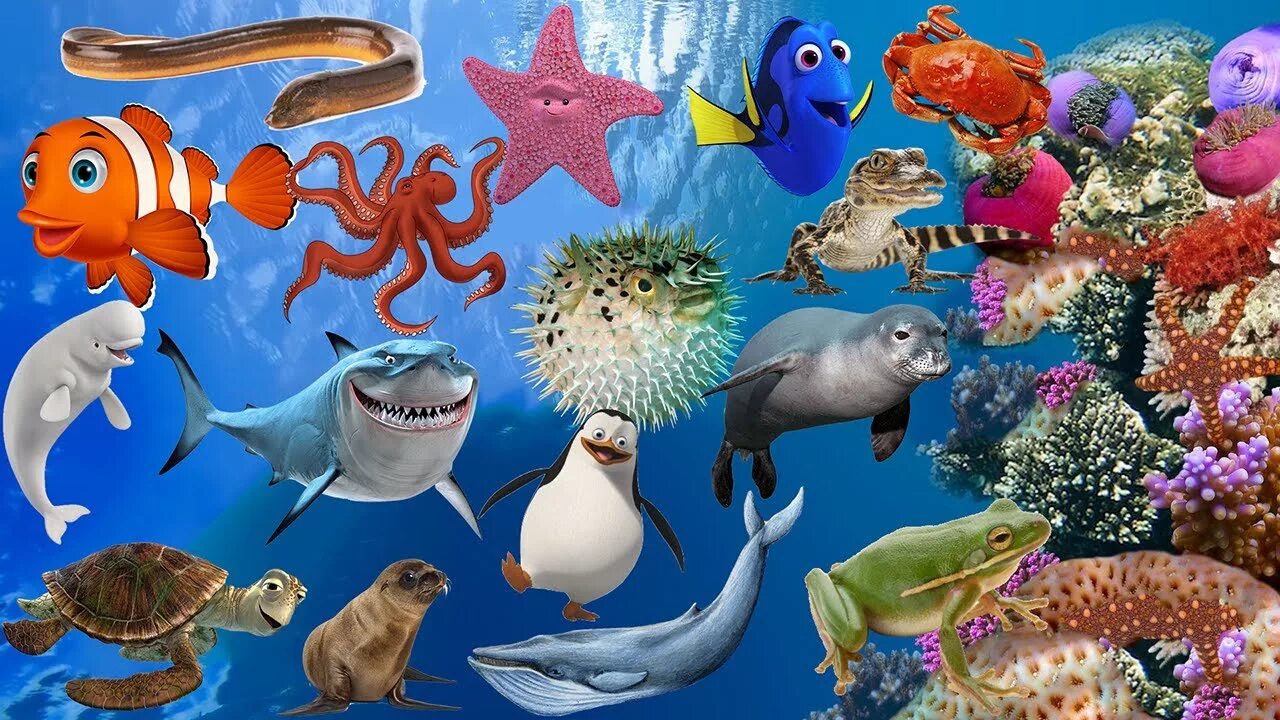 Морские обитатели 6 класс. Морские животные для детей. Обитатели моря для детей. Жители морей и океанов. Морские обитатели морей для ДОУ.