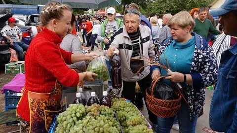 Винная ярмарка самара