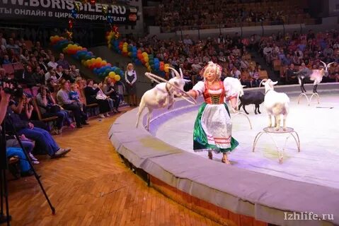 Сайт ижевского цирка