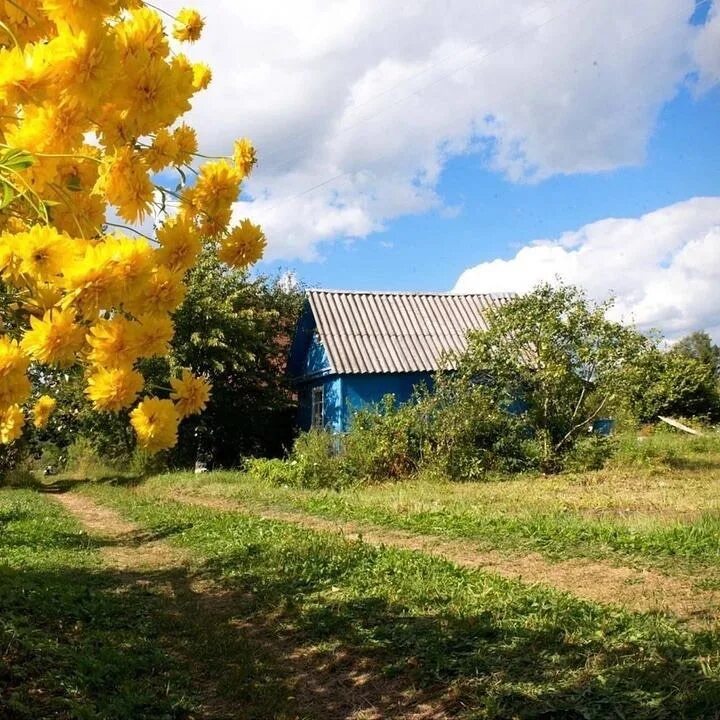 Село августа