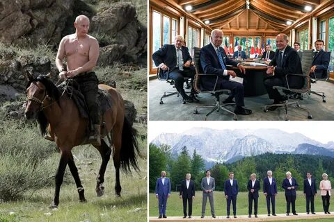 Конь реакция иностранцев