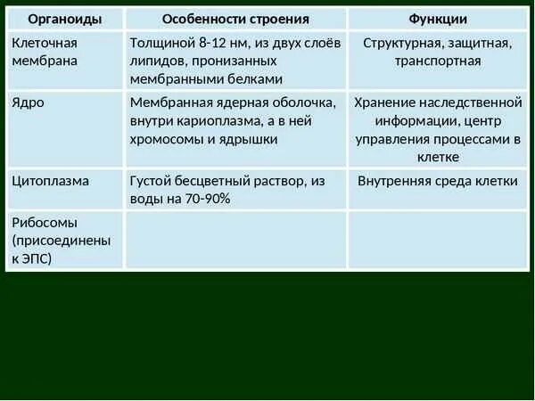 Мембрана особенности строения функции. Функции органоидов клетки таблица. функции органоидов 8 класс биология. наружная мембрана и органоиды клетки таблица строение и функции. строение оболочки органоида.