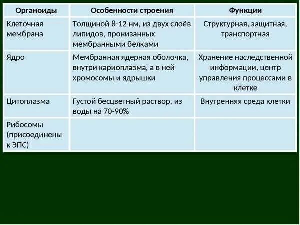 Функции органоидов клетки таблица. Функции органоидов 8 класс биология. Наружная мембрана и органоиды клетки таблица строение и функции. Строение оболочки органоида.