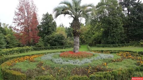 Культура осенью